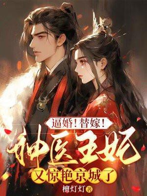 神医王妃带仔行凶