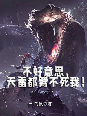 天雷别劈我官网
