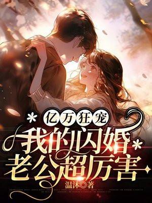 亿万老公闪婚老公超给力