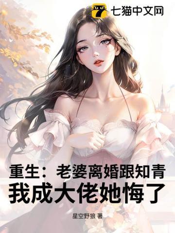 重生老婆要离婚的