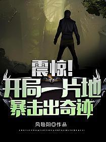 暴击出奇迹手机版