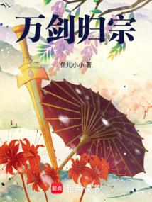 万剑归宗图片