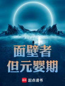 面壁者但元婴期TXT免费