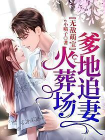 无敌萌宝爹地妈咪有了免费阅读