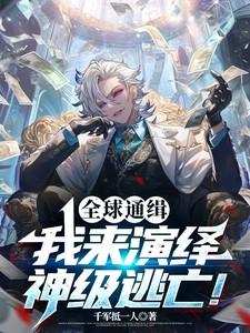 全球通缉系统