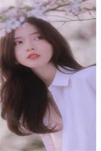 王磊与陈莲
