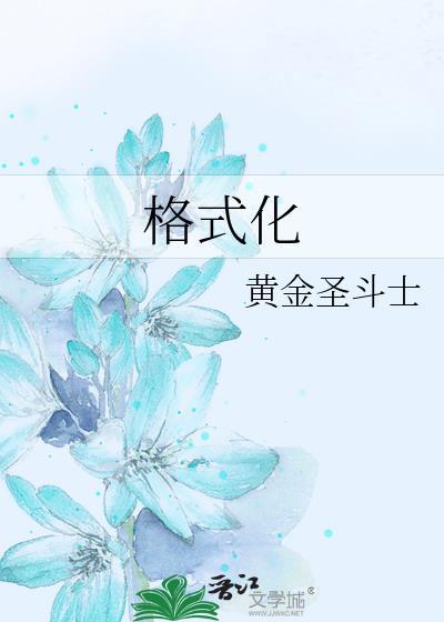 格式化在哪里