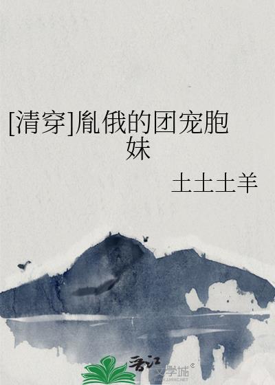 清穿胤禟宠文