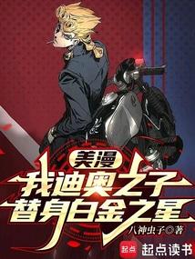 替身白金之星原著