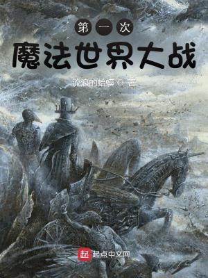 第一次魔法世界大战精校版TXT.