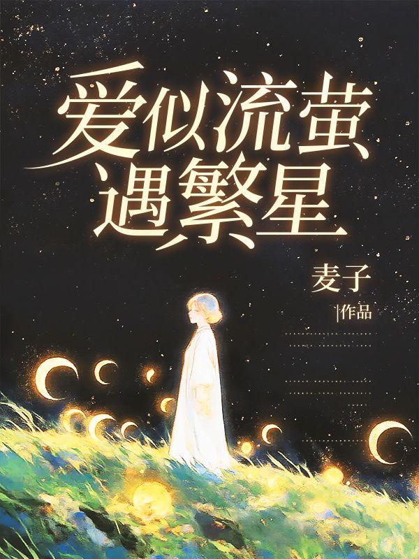 爱似流萤遇繁星沐星澜陆司沉
