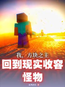 方块2的