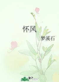 怀风臣