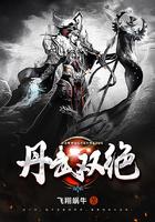 丹武双绝33