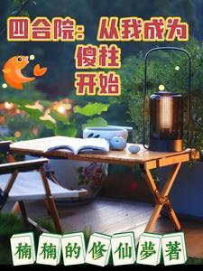 四合院从成了傻柱他爹开局