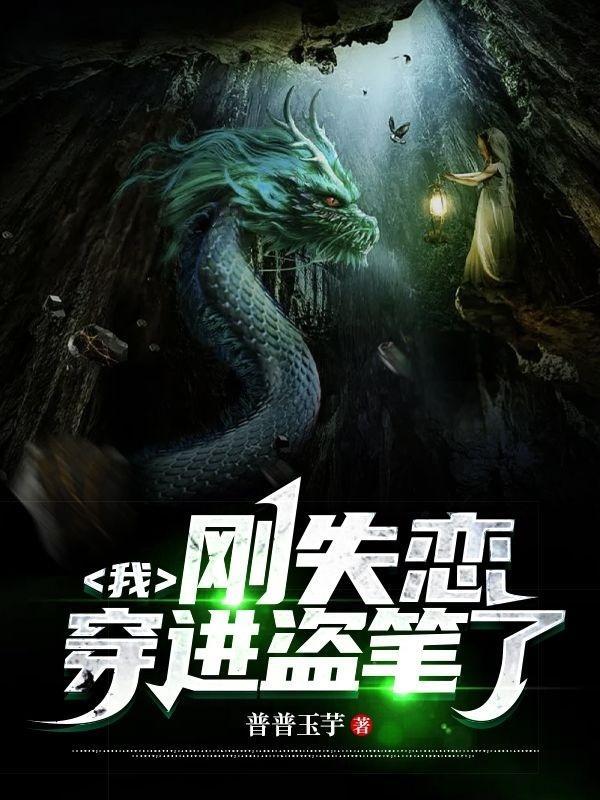 穿进盗笔了 免费阅读