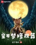 宝可梦修改器笔趣阁无弹窗