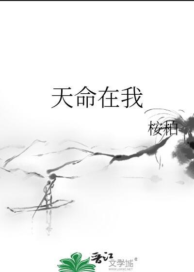 天命在我 作者桉柏