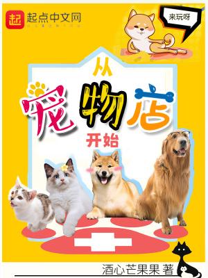 从宠物店买猫注意什么