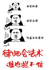 律师什么法都懂吗