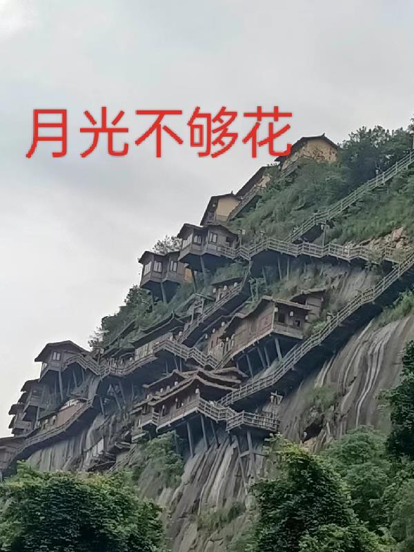 华夏新星科技有限公司
