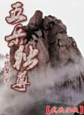 五岳独尊多少钱一瓶