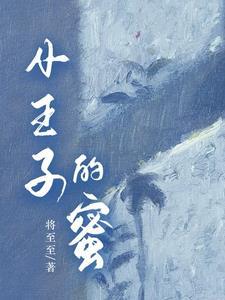 小王子30个秘密