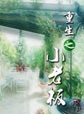 重生之老板不好当免费
