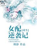 穿书女配逆袭记动漫