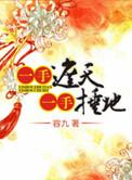 一手遮天一手捶地原著