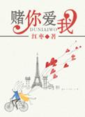 我赌你爱我txt百度