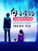 重生接生婆幸幸福的生活