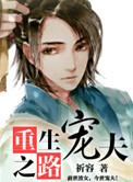 重生之宠夫路上