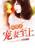 溺爱之宠妻至上全文免费阅读