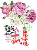 穿越八十年代农家女
