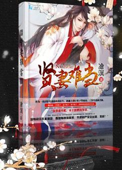 贤妻难当 沧