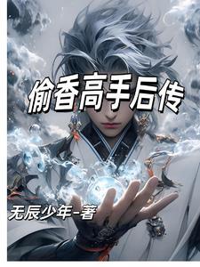偷香高手后传 无辰少年